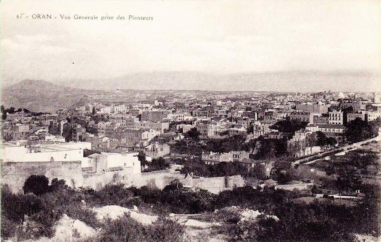 oran depuis les planteurs.jpg